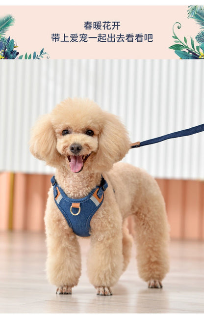 小型犬の胸のストラップの犬の牽引縄のテディは熊の貴賓の子犬より犬のひもの犬のチェーンを散歩します