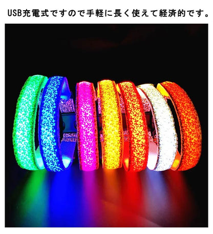 価格が下がった 今日だけ 光る首輪 首輪 LEDライト 小型犬 キラキラ 中型犬 USB充電式 通気性 3モード 軽量 長さ調節可能 散歩 安全対策 事故防止 発光 夜間 暗闇 ペットグッズ 大型犬