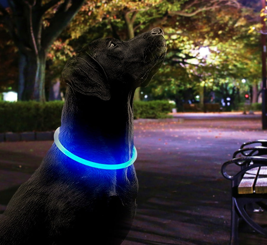 USB充電式の光る首輪 子犬 中型犬 お散歩にぴったり 発光 LED首輪
