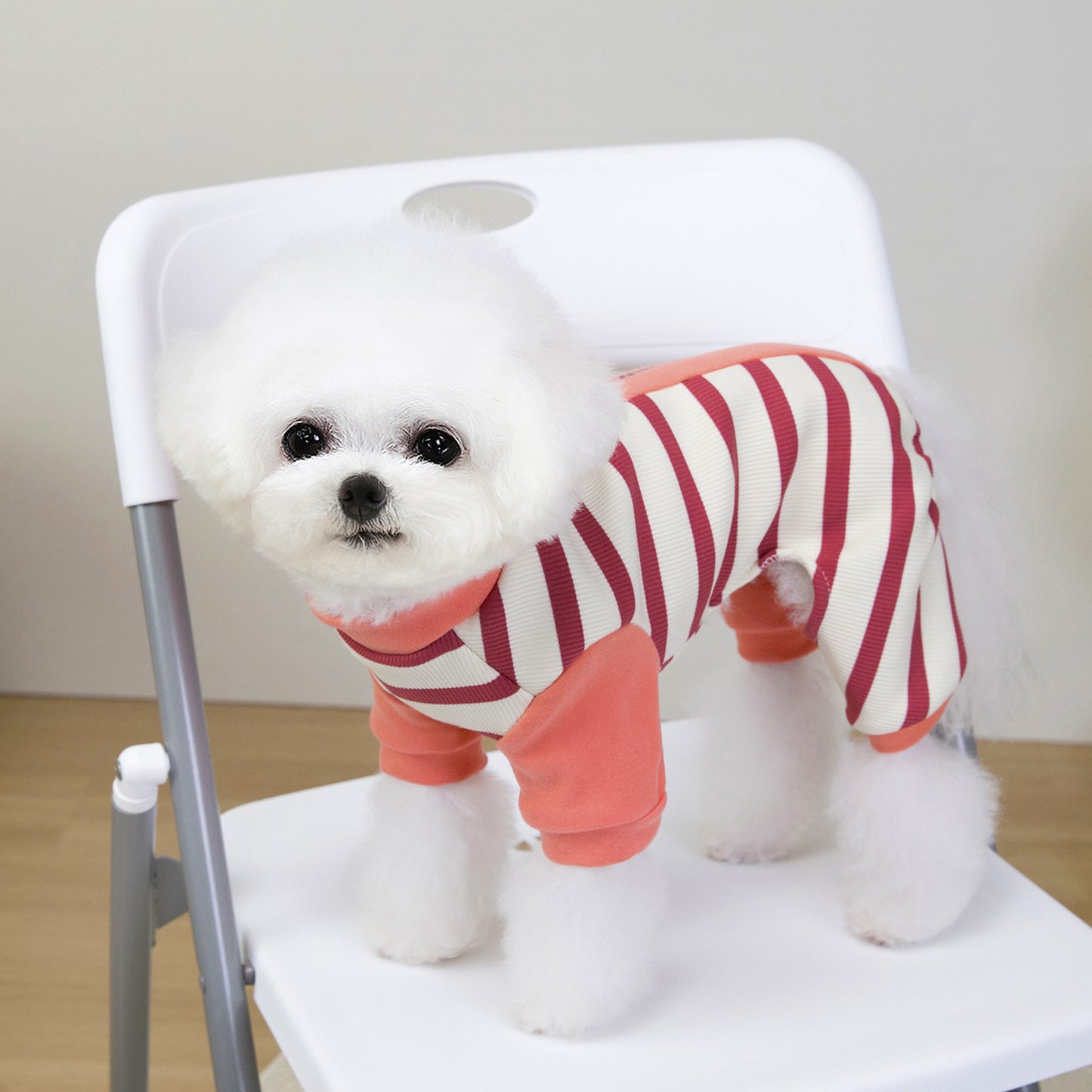 猫 犬 洋服 犬服 ペット服 大中小型犬 ペット用品 犬/猫用 犬の服 ペットウエア 小型犬 中型犬 通気 可愛い ドッグウェア トレーナー 犬 服 ワンピース サロペット ビションフリーゼ 犬猫服