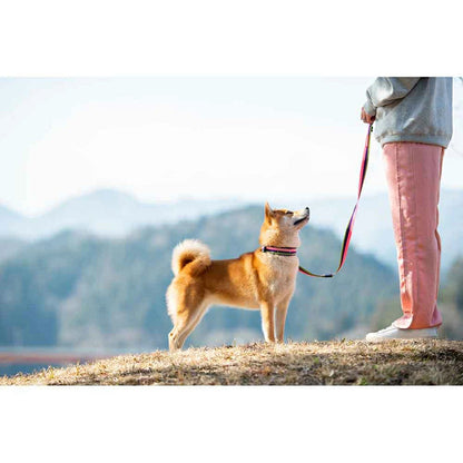 【人気商品】EZ リード ソフトトレーナー 120cm EZYDOG