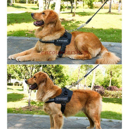 【輸送費無料】ハーネス リード 胴輪 首輪 犬用 中型犬 スプリング ペット 8の字ハーネス 通気性 リード ハー