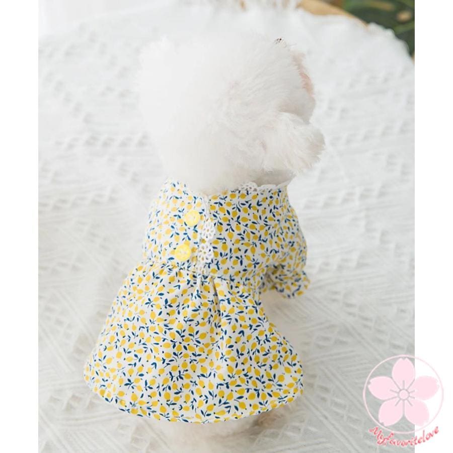 品質いいな新品 犬服 夏服 春夏 春 春服 夏 犬の服 ペット 猫 犬用品 犬用 ドッグウェア シャツ女の子可愛いかわいいオシャレ
