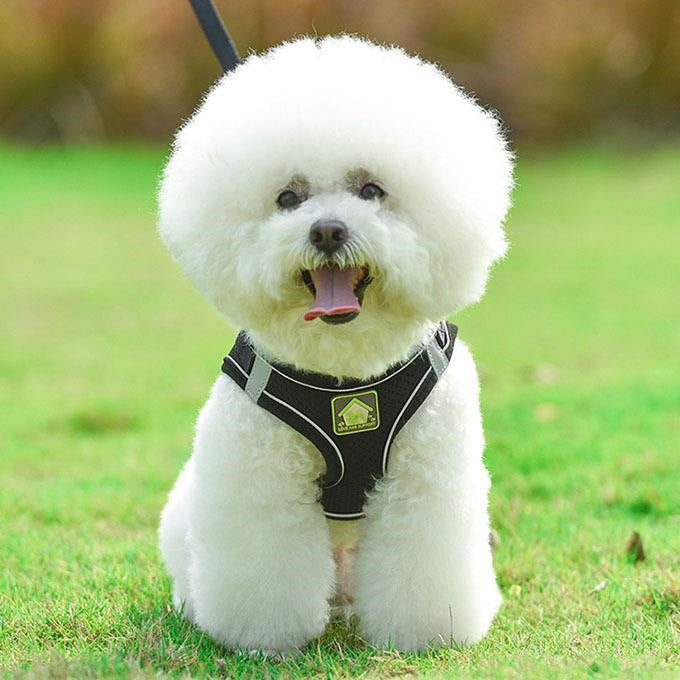 犬ウェアハーネス リードセット ネコ ワンちゃん 大人気 上品 全サイズ リードメッシュハーネス 愛犬 反射板 散歩 安心 マジックテープ