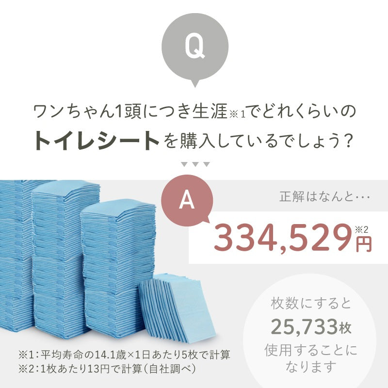 <a href="https://www.qoo10.jp/gmkt.inc/Search/brand.aspx?brandno=117010" target="_blank" class="title_brand" id="btn_brand" title="LASIEM">LASIEM</a>【発送3日以内】洗える ペットシーツ 2枚セット 犬 猫 犬用 ペットマット トイレシート おしっこシート 介護 ペットマット 食事マット 防水 おしっこパッド マット 滑り止め 介護シーツ 漏れ防止