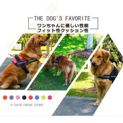 【輸送費無料】ハーネス リード 胴輪 首輪 犬用 中型犬 スプリング ペット 8の字ハーネス 通気性 リード ハー