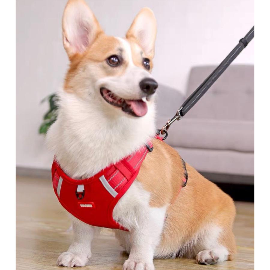ステップハーネス ロック 大型犬 抜けない M 介護用 柴犬 小型犬 抜けにくい 犬 XS ハーネス ハンドル付き 中型犬 ウェアハーネス S L 負担の少ない