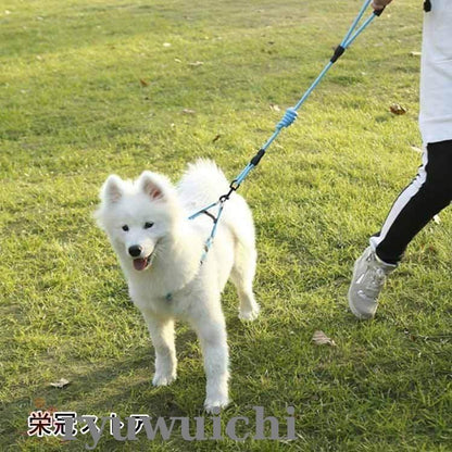 犬用 リード 2匹 犬 二頭引きリード ダブルリード 多頭飼い 小型犬 中型犬 大型犬 犬 2頭引き いぬ ドッグ用 お散歩グッズ お出かけ ペット用