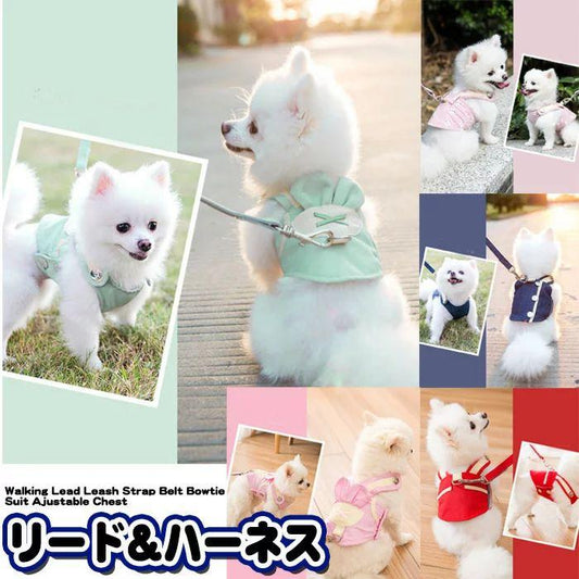 新商品プロモーション，数量限定 犬 ハーネス リード付 ペット 服 デザイン ウェアハーネス 胴輪 キャット ドッグ メッシュ犬 ハーネス