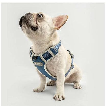 新商品プロモーション，数量限定 犬 ハーネス ペット 胴輪 ふっくら生地 服 キャット ドッグ メッシュ ドッグウェア 小型犬 中型犬犬 ハーネス