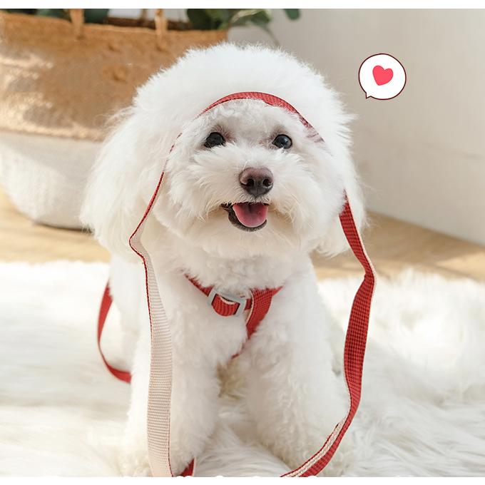 ペット用品 ハーネスリードセット お散歩 ハーネス リード マスコットつき 新作セール 犬 猫 ワンちゃん 猫ちゃん