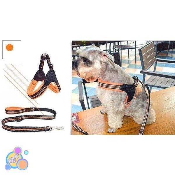 ハーネス 犬 おしゃれ 小型犬 大型犬 中型犬 犬のハーネスリード 脱げない 発光バンド 散歩 首輪 ペット用品