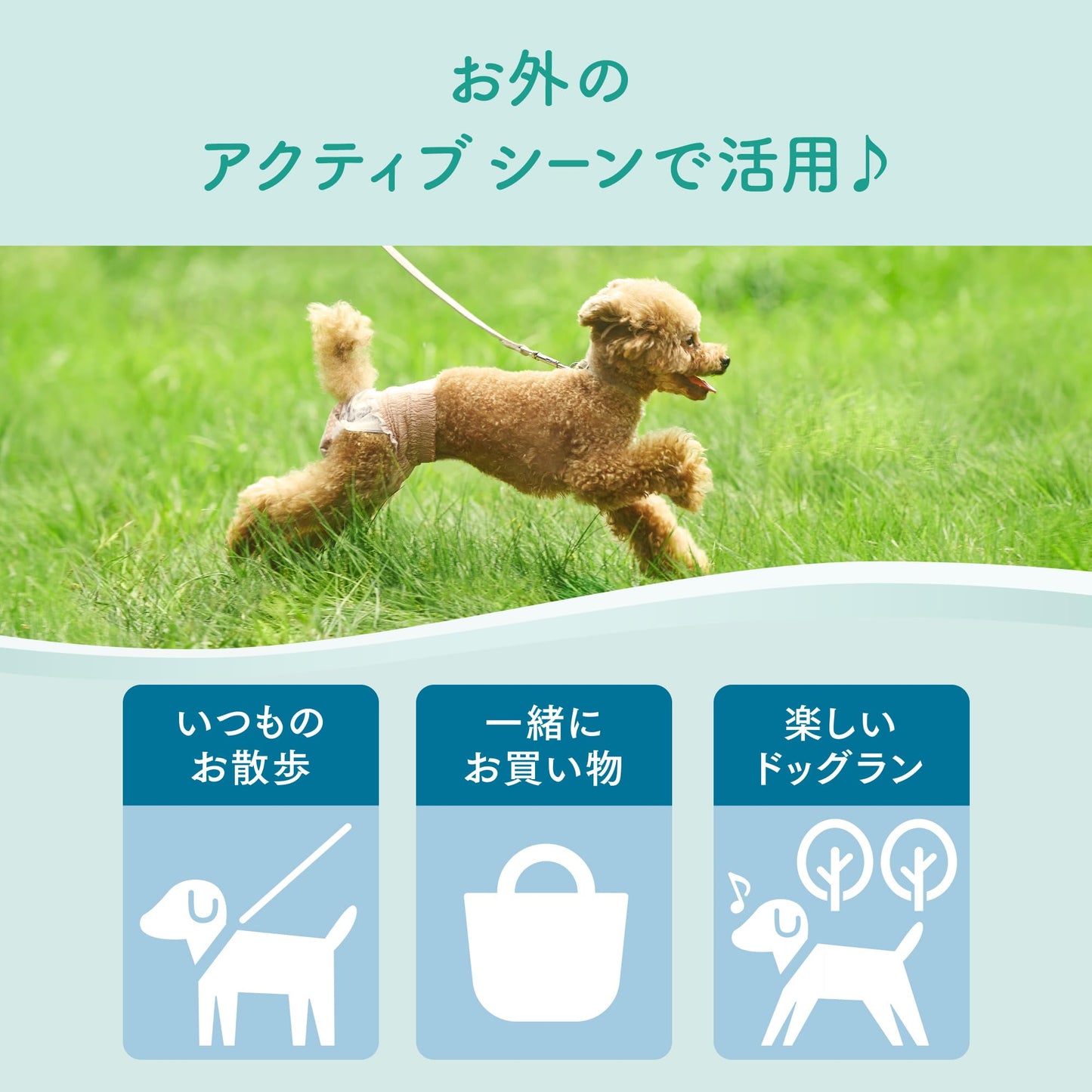 エリエール Pｅｔ キミおもい のびのび動けるアクティブウェア L ゆったり 20枚 犬用 おむつ