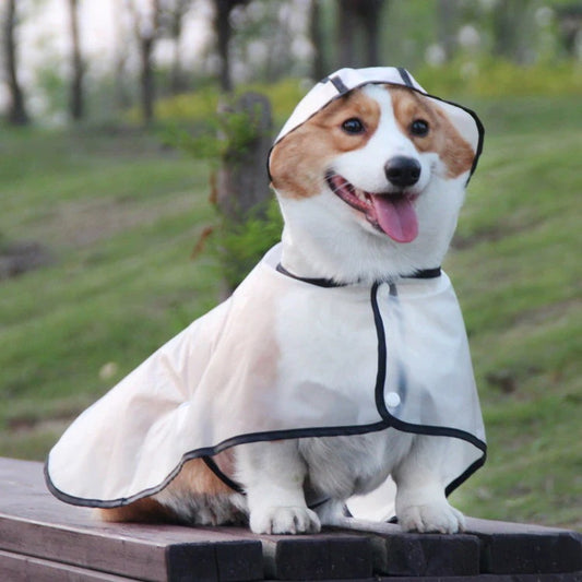 犬服 レインウェア おしゃれ 雨具ウェア レインコート 旅行 お出かけ お散歩 小中大型 ドッグウェア かわいい レイングッズ ペット服
