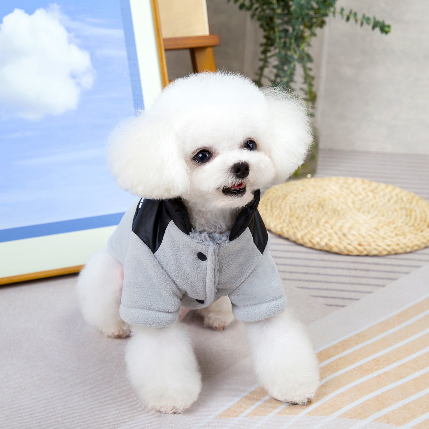 猫 犬 洋服 犬服 ペット服 大中小型犬 ペット用品 犬/猫用 犬の服 ペットウエア 小型犬 中型犬 通気 可愛い ドッグウェア トレーナー 犬 服 ワンピース サロペット ビションフリーゼ 犬猫服