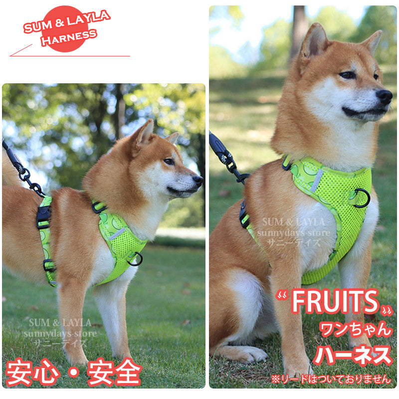 通気性 老犬 犬ハーネス 柴犬 犬 胴輪 に優しい 夏色 メッシュ H型 おしゃれ 体温調節 犬用 快適 犬 反射材 抜け防止 痛くない ハーネス ソフト 引っ張り子