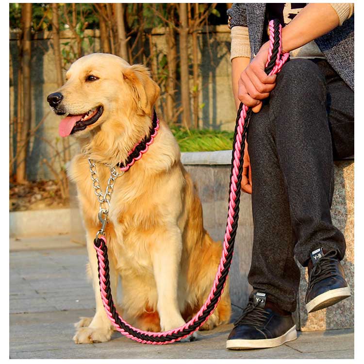 送料無料 リード 首輪 2点セット 犬 首輪セット リードセット 小型犬 中型犬 大型犬 太く 頑丈 丈夫 犬用リード 極太 編み紐 噛み癖 防止 ドッググッズ 散歩 お出かけ しつけ ペット ペット
