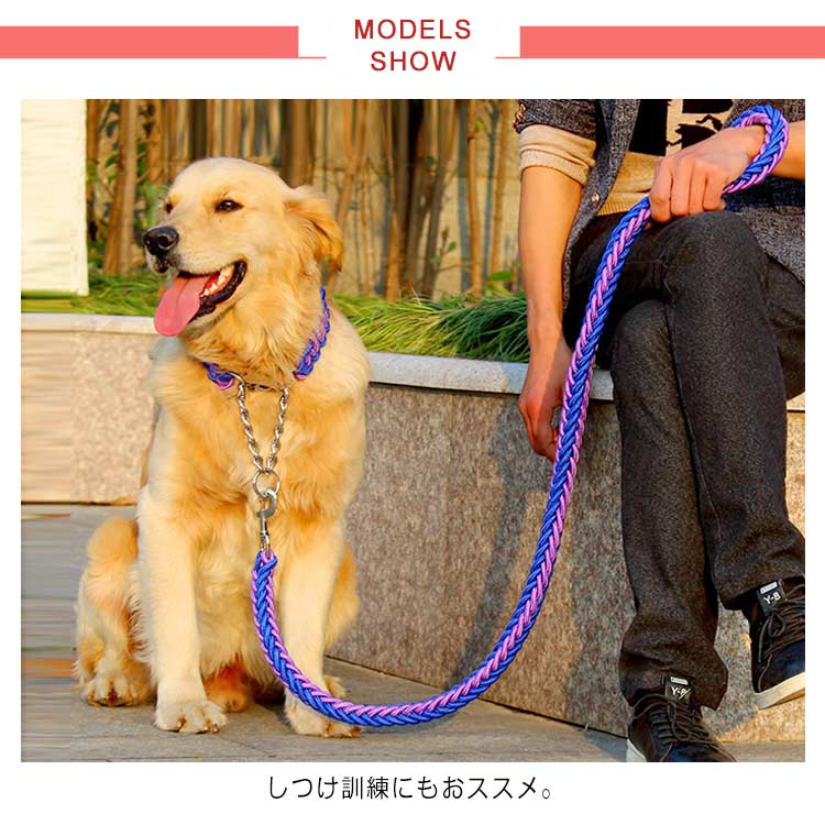送料無料 リード 首輪 2点セット 犬 首輪セット リードセット 小型犬 中型犬 大型犬 太く 頑丈 丈夫 犬用リード 極太 編み紐 噛み癖 防止 ドッググッズ 散歩 お出かけ しつけ ペット ペット