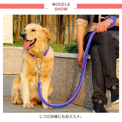 送料無料 リード 首輪 2点セット 犬 首輪セット リードセット 小型犬 中型犬 大型犬 太く 頑丈 丈夫 犬用リード 極太 編み紐 噛み癖 防止 ドッググッズ 散歩 お出かけ しつけ ペット ペット