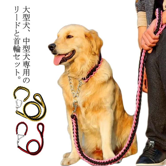 リード 首輪 2点セット 犬 首輪セット リードセット 小型犬 中型犬 大型犬 太く 頑丈 犬用リード 散歩 お出かけ しつけ ペット 極太 編み紐 噛み癖 防止 ドッググッズ ペット用 お