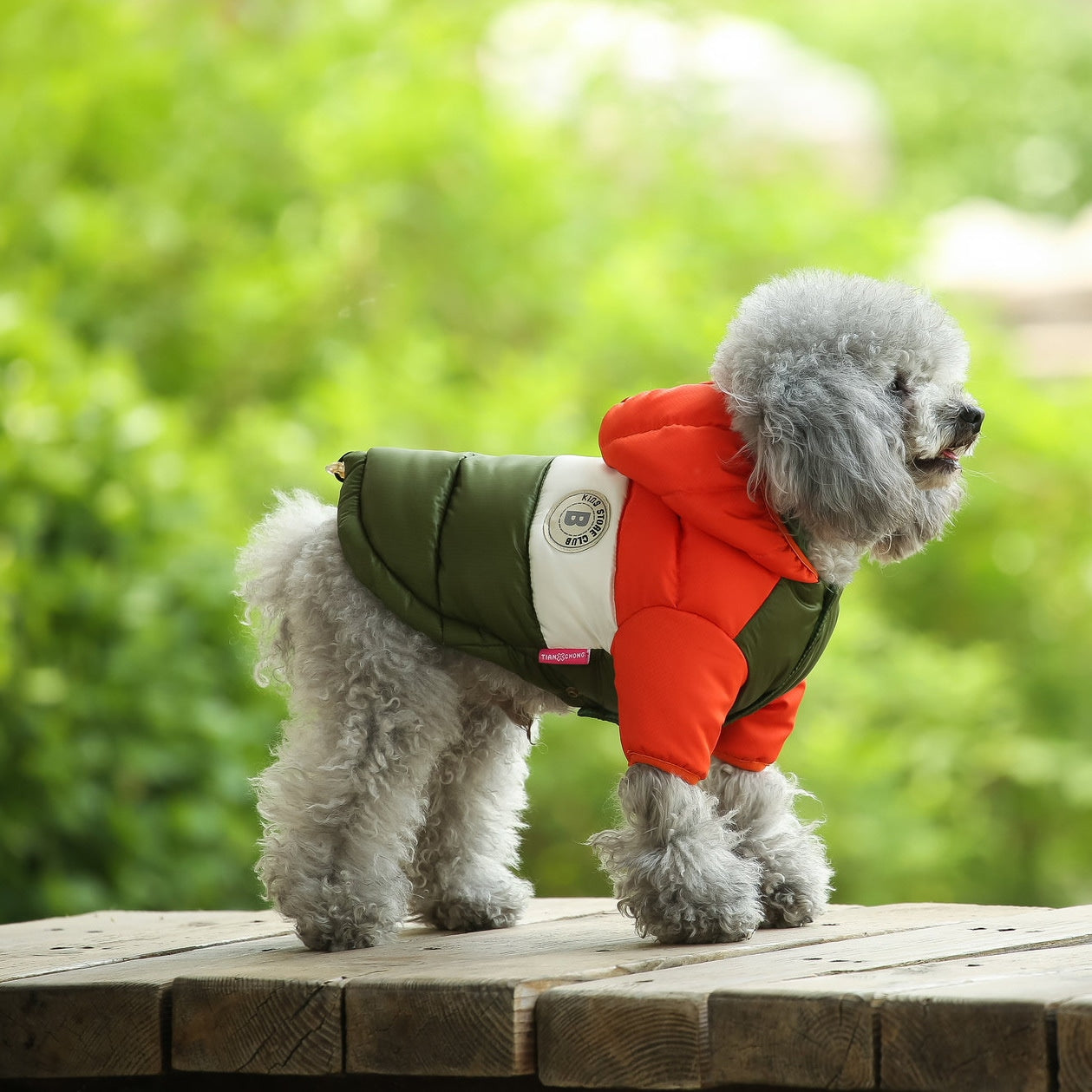 犬服 服 フード付きダウン風ジャケット ジャケット コート おしゃれ かわいい 小型犬 保温 防寒 やわらか あったか 犬用 犬の服 犬 服 ペット服 ドッグウェア997
