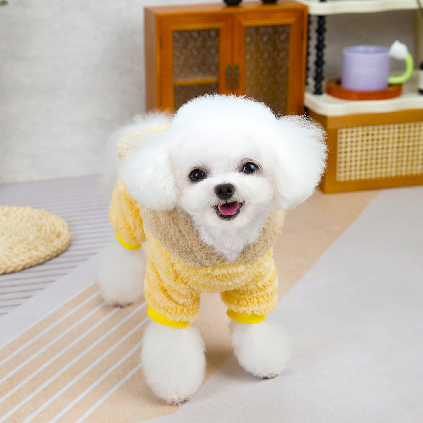 人気犬の服 ペット服 小型犬 猫 着ることができる 秋冬 暖かい 快適 レインボーベア ストライプ フリース コート
