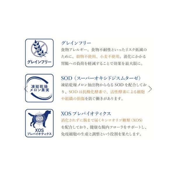 VetSolution ベッツソリューション 犬用 肥満サポート 3.0kg ドッグフード 犬 餌 療養食 肥満 関節ケア 高脂血症理 Monge