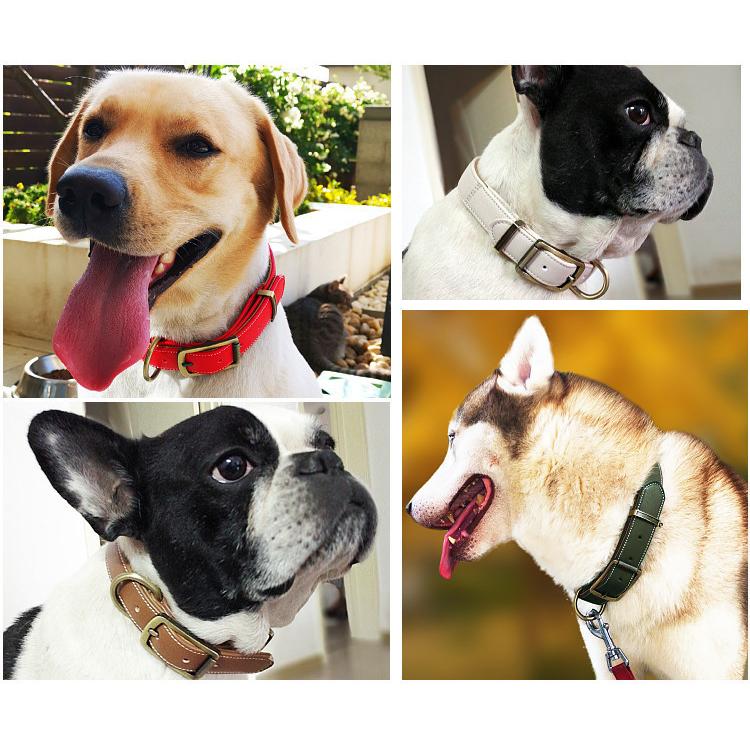 柴犬 犬首輪 おしゃれ 犬 ベーシック 送料無料 くびわ 犬用品 かわいい いぬ 犬の首輪 首輪 中型犬 革 Mサイズ 毛挟まれ防止