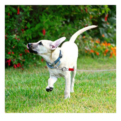 早いもの胜ち 犬の散歩 大型犬 切れないリード リード ワイヤー 中型犬 チューブ ワイヤーリード ロングリード リード 3M ワイヤー入り 錆びにくく ワイヤーリード ドッグリード 犬用リード 10