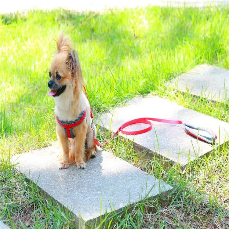 ハーネスリードセット お出かけ ネコ用ハーネス 犬 軽量 胴輪 ペット用品 55 2点セット リード 中型犬 小型犬 シンプル お散歩 犬用 ハーネス 簡単装着 リーシュ 犬用ハーネス 猫用 ペットハ