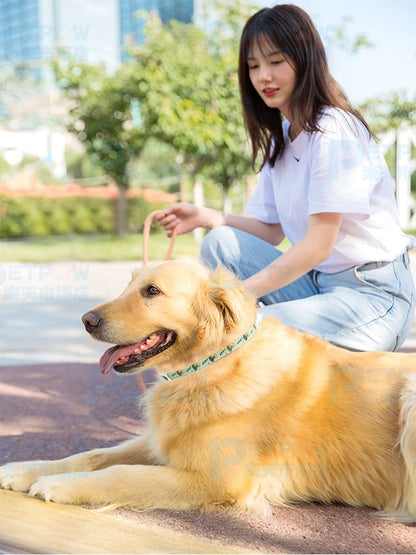 ハーネス 春 防水 ノミよけ首輪 カット可能 夏 蚊除け対策 犬用 首輪 首輪タイプ 蚊よけ 寄生虫よけ 防虫首輪 犬猫兼用 ノミ除け 天然ハーブ 猫用 サイズ調整 着脱簡単 安全 小型犬用