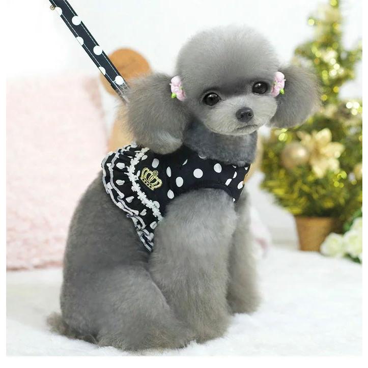 新商品プロモーション，数量限定 犬 ハーネス リード 付 ドレス 水玉 ウェアハーネス ペット 服 ワンピース 胴輪 キャット ドッグ犬 ハーネス
