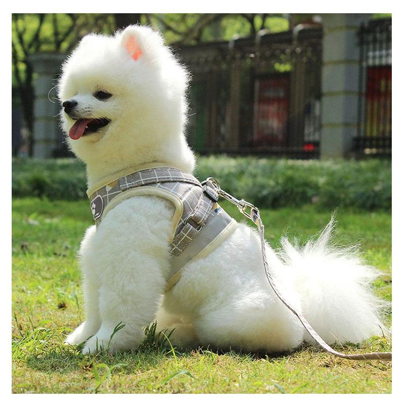 新商品プロモーション，数量限定 ペット用 犬用 ハーネスとリードの２点セット 型ハーネス＆リード ペットグッズ 犬用品 マジックテープとバックルで開閉 着脱簡単 XS S Mペット用 犬用