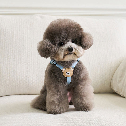 ベストかわいいペットを連れて外出します メガ割ワンピースパンツトートバッグ