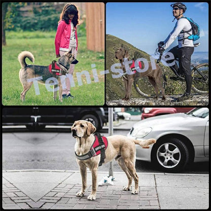 今週の新製品 タイムセール 犬 ハーネス 名前 胴輪 単品 名入れ イニシャル 簡単装着 引っ張り防止 抜けない 小型犬 中型犬 大型犬 かわいい 散歩 お出かけ アウトドア 【一部当日発送】 在庫が