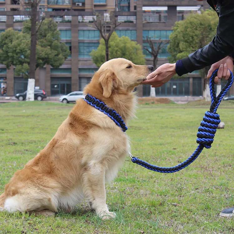 リード 首輪 2点セット 犬 首輪セット リードセット 小型犬 中型犬 大型犬 太く 頑丈 犬用リード 散歩 お出かけ しつけ ペット 極太 編み紐 噛み癖 防止 ドッググッズ ペット用 お