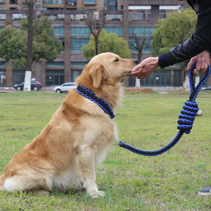 リード 首輪 2点セット 犬 首輪セット リードセット 小型犬 中型犬 大型犬 太く 頑丈 犬用リード 散歩 お出かけ しつけ ペット 極太 編み紐 噛み癖 防止 ドッググッズ ペット用 お
