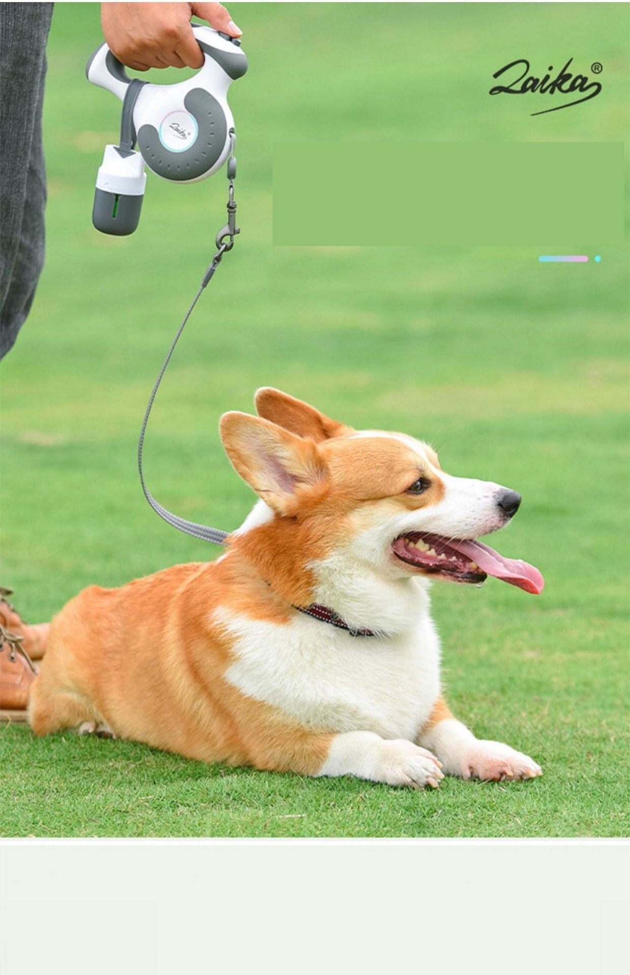 【散歩は凧揚げのように】 犬 伸縮リード 4.5m 耐噛ロープ 軽量 おしゃれ 上質 小/中型犬 人気 おすすめ かわいい 長い フック 犬用 メガ割