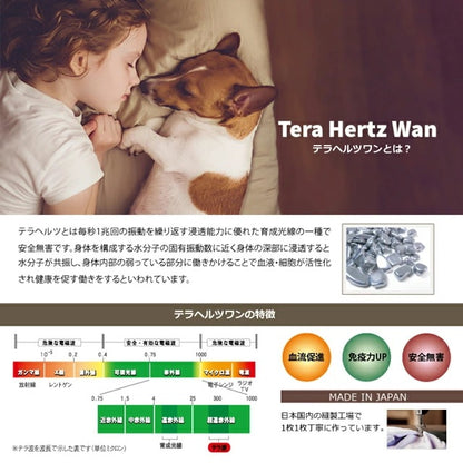 <a href="https://www.qoo10.jp/gmkt.inc/Search/brand.aspx?brandno=125763" target="_blank" class="title_brand" id="btn_brand" title="Coo Couture">Coo Couture</a>SWDテラヘルツワンベルクロTシャツペット介護 犬用ペットウェア 中型犬 大型犬 犬服 テラヘルツワン クークチュール 2メ-3運 12137 【T】