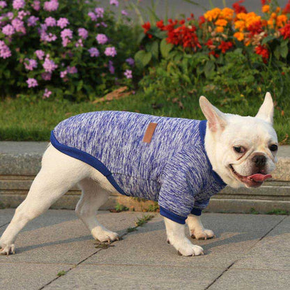 沸騰新柄追加 犬 犬の服 服 犬服 シャツ 長袖 小型犬 中型犬 ドッグウェア フレンチブルドッグ 無地 シンプル おしゃれ カジュアル かわいい ペット服 お出掛け お散歩 カラフルquma