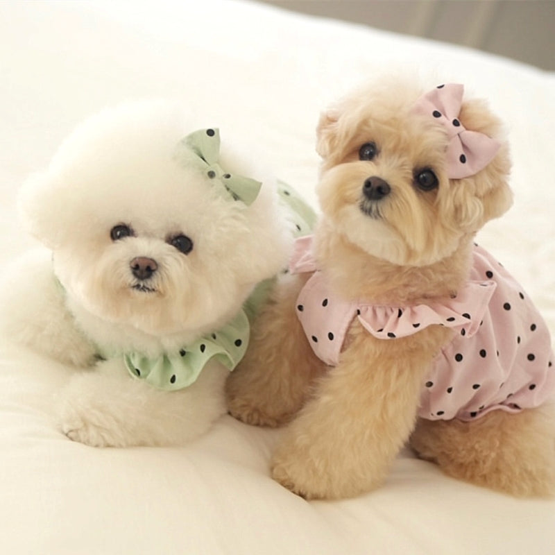 [犬 服]犬 洋服 ins人気商品 ペットドレス 犬服 夏 薄手 猫 小型犬 子犬 スカート
