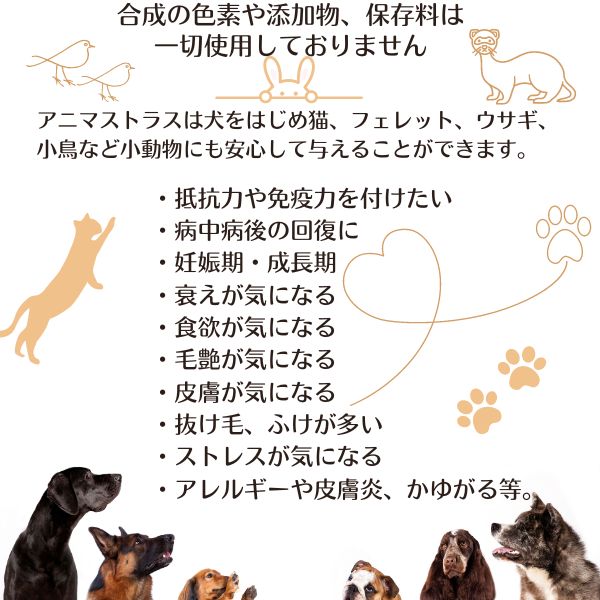 アニマストラス 100ml リキッド 犬 猫 ペット サプリ 動物用サプリメント 免疫力 ペット 抜け毛 サプリ 犬 サプリメント ストレス 犬 サプリメント 消化酵素 AnimaStrath 栄養