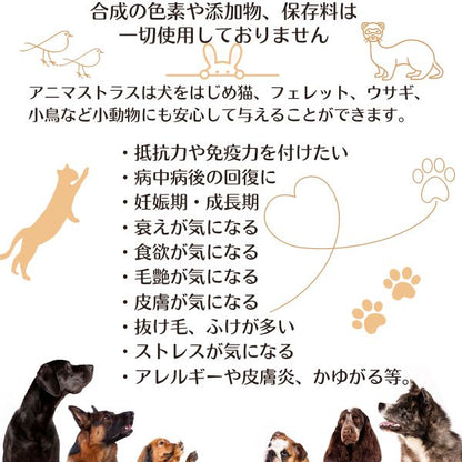 アニマストラス 100ml リキッド 犬 猫 ペット サプリ 動物用サプリメント 免疫力 ペット 抜け毛 サプリ 犬 サプリメント ストレス 犬 サプリメント 消化酵素 AnimaStrath 栄養