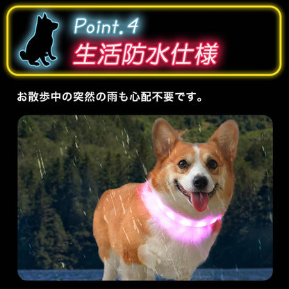 光る首輪 光る 充電式 散歩 首輪 LED おしゃれ 犬 夜 ペット レインボー 猫 USB ライト