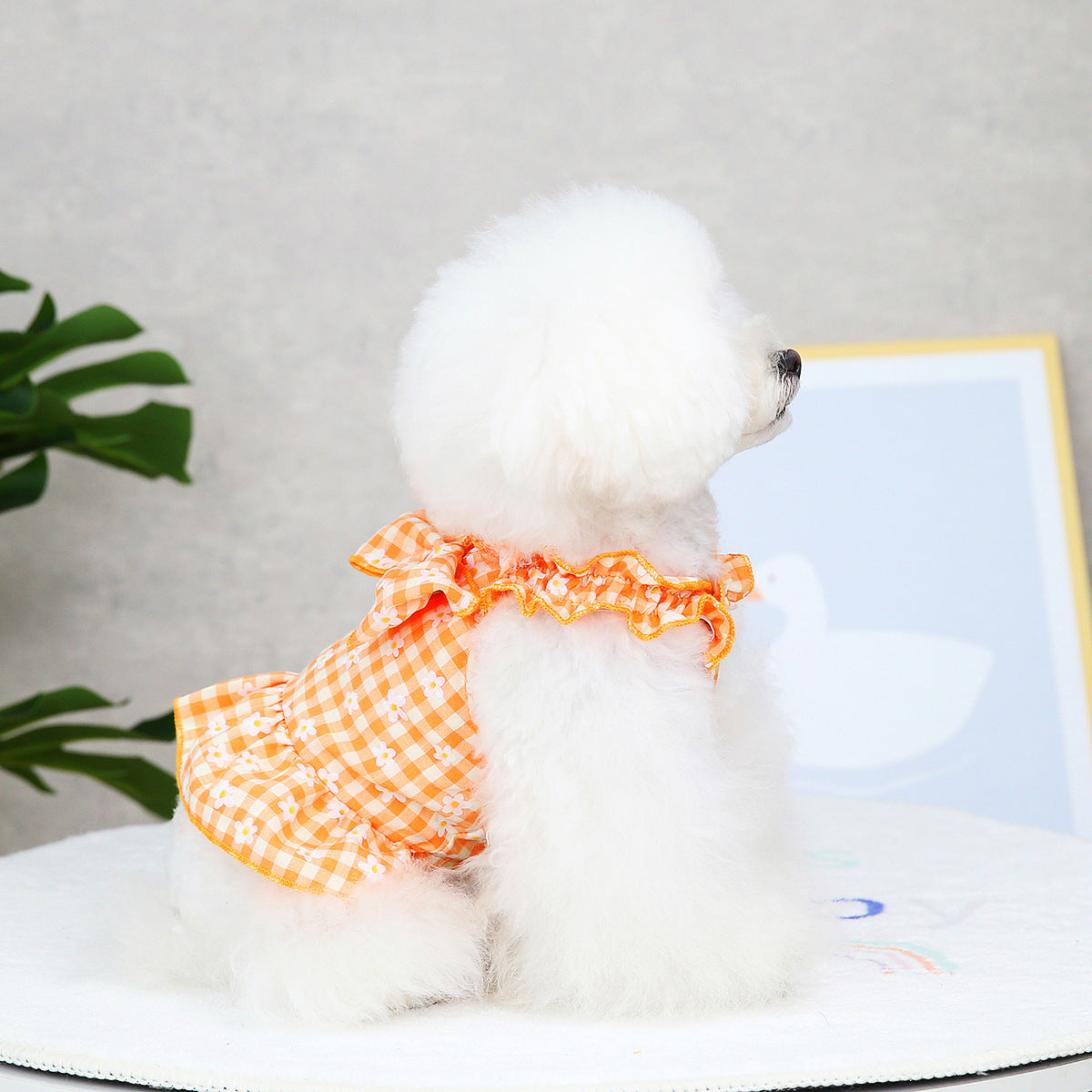 猫 犬 洋服 犬服 ペット服 大中小型犬 ペット用品 犬/猫用 犬の服 ペットウエア 小型犬 中型犬 通気 可愛い ドッグウェア トレーナー 犬 服 ワンピース サロペット ビションフリーゼ 犬猫服
