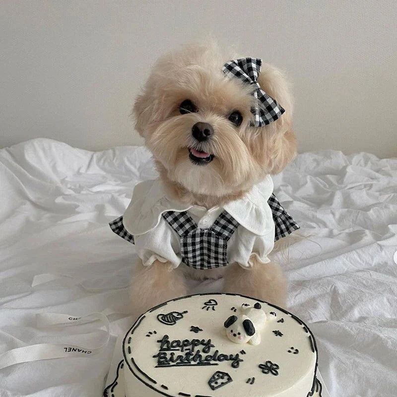 人气新作犬 洋服 犬シャツビブドレスセット 犬猫服 テディビーベア ヨークシャー 小中型犬 服 快適 ペット用品 犬用品 ペアルック 散歩 小型犬ドレスペット服