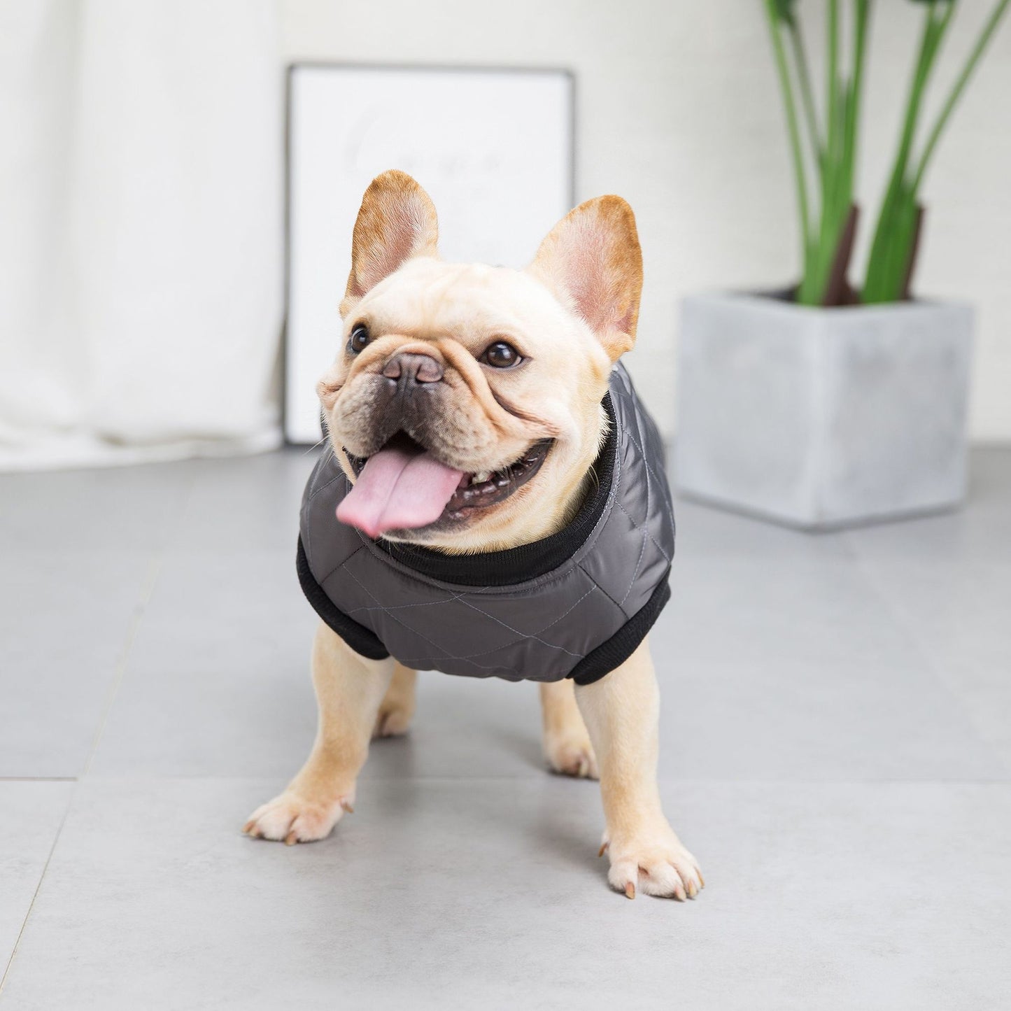 猫 犬 洋服 犬服 ペット服 大中小型犬 ペット用品 犬/猫用 犬の服 ペットウエア 小型犬 中型犬 通気 可愛い ドッグウェア トレーナー 犬 服 ワンピース サロペット ビションフリーゼ 犬猫服