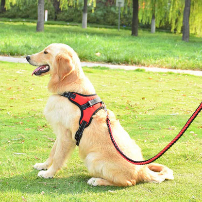 キャンペーンハーネス 犬 大型犬 柴犬 3点セット 抜けない 小型犬 調整可能 ハンドル付き 抜けにくい ハーネスリードセット 3点セット ステップハーネス 脱出防止 ウェアハーネス 犬用 ペットハー
