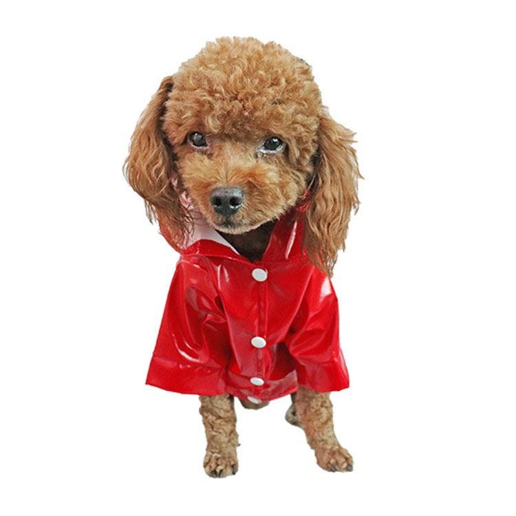 犬 レインコート レインウェア 小型犬 中型犬 子犬 ドッグウェア 夜間反射 雨具 人気沸騰 カッパ 犬服 フード付き 透明 雨の日 防水 梅雨対策 リング付き