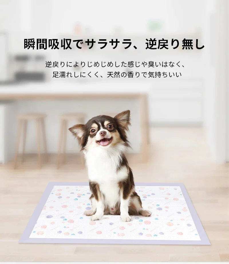<a href="https://www.qoo10.jp/gmkt.inc/Search/brand.aspx?brandno=109151" target="_blank" class="title_brand" id="btn_brand" title="Honeycare">Honeycare</a>ペットシーツ 中厚型 ペットシート厚型 サイズ選択可 レギュラー ワイド スーパーワイド 香り付き 香りの選択